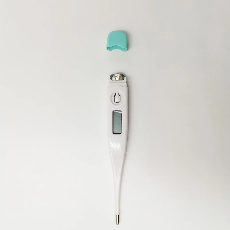 Portable Digital Thermometer With Alarm best